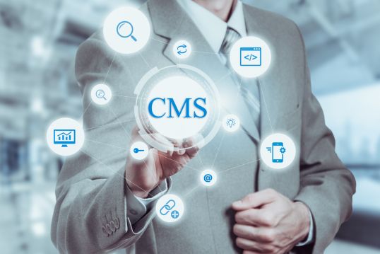 Content Management System (CMS)